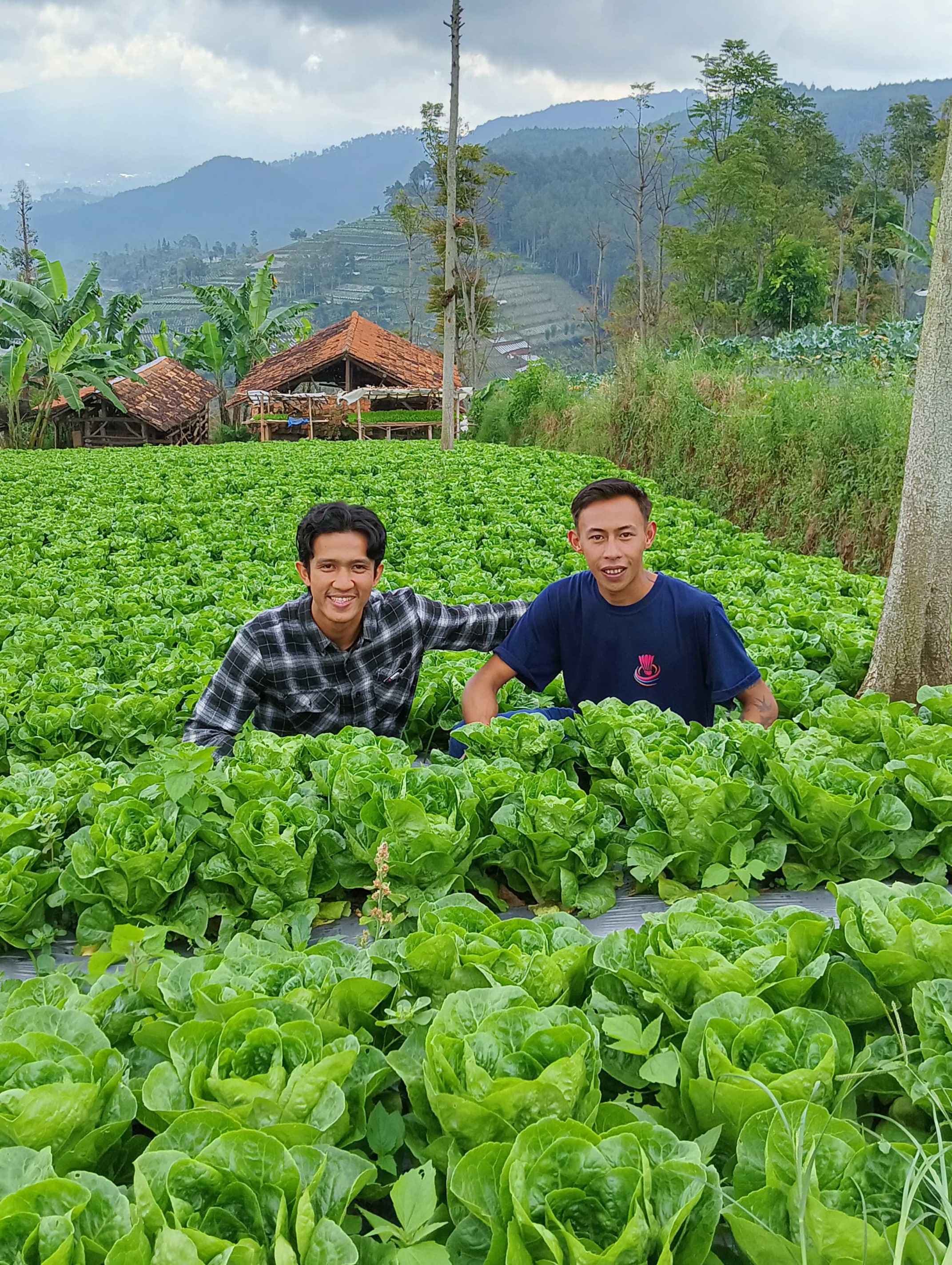 foto pemilik unhira agrikultur bersama petani