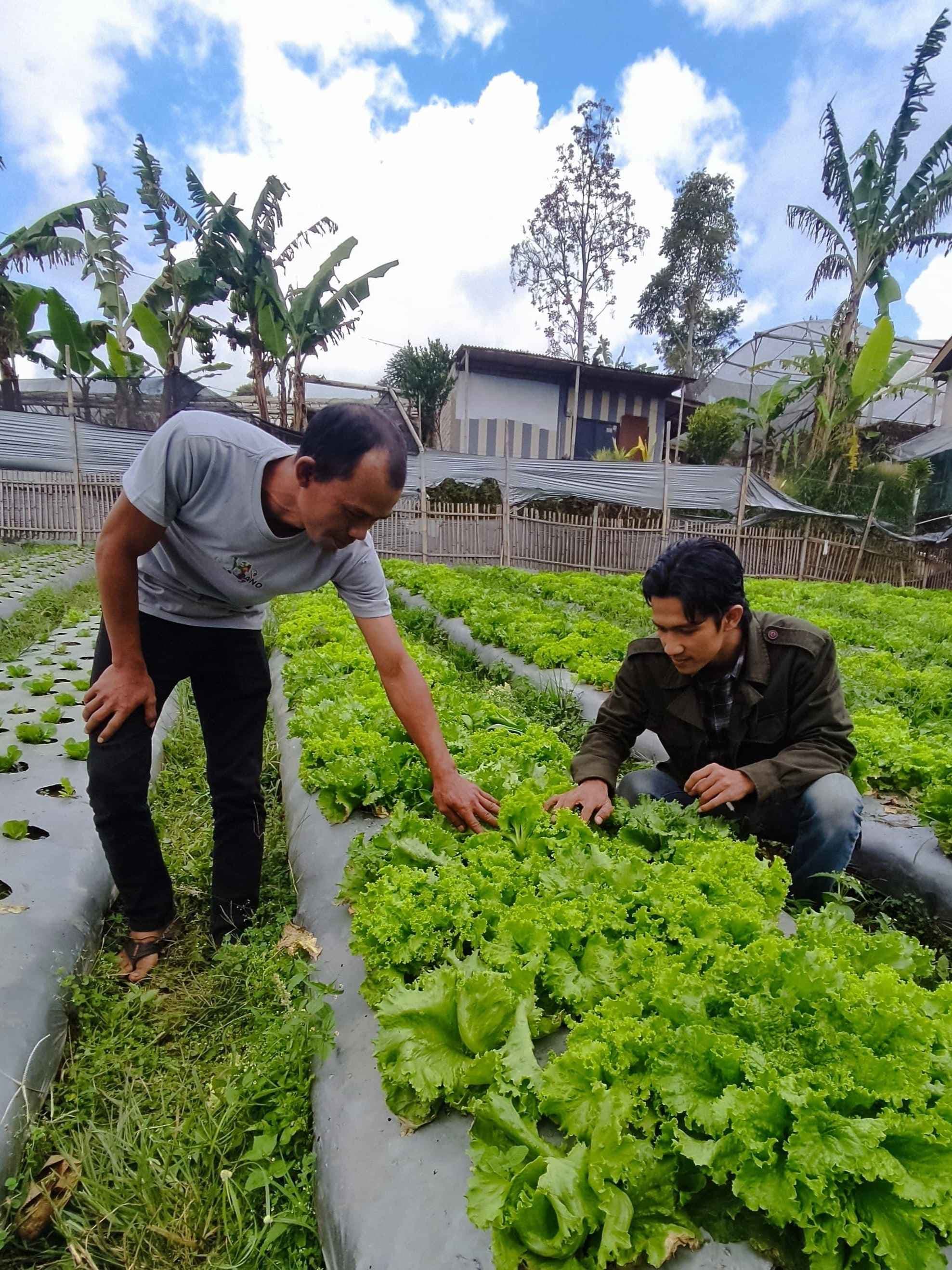 foto pemilik unhira agrikultur bersama petani