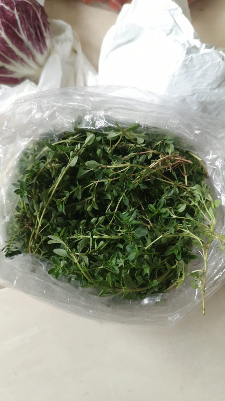 menyediakan Thyme